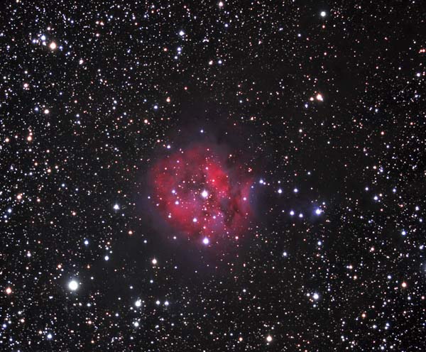 Cocoon Nebula LRGB FS 128