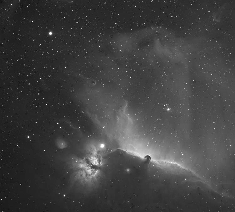 <b>Horsehead and Flame Nebula in Hydrogen Alpha</b>