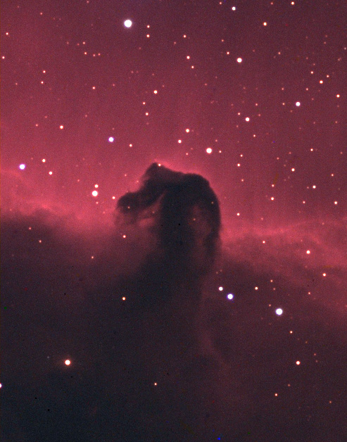 Horsehead with Tak FS 128
